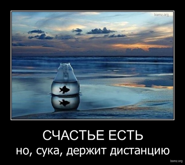 130833145.jpg
