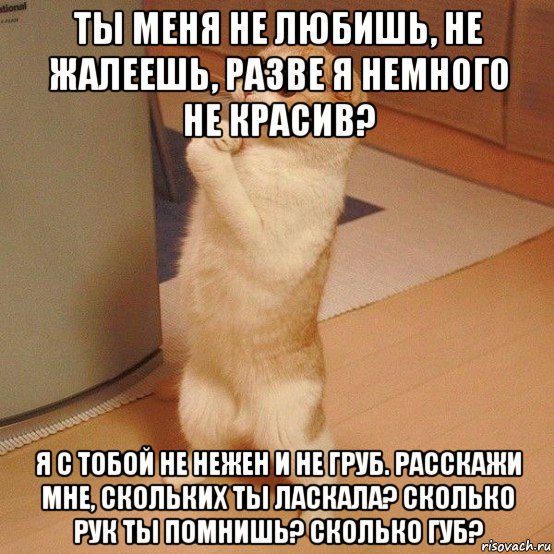 kote_95289716_orig_.jpg