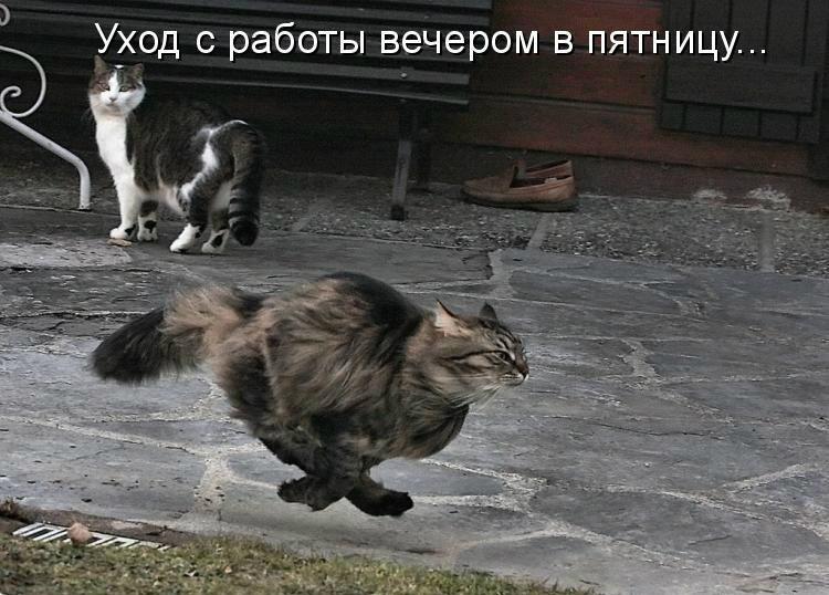 1430376621_cj3sq9d_twk.jpg